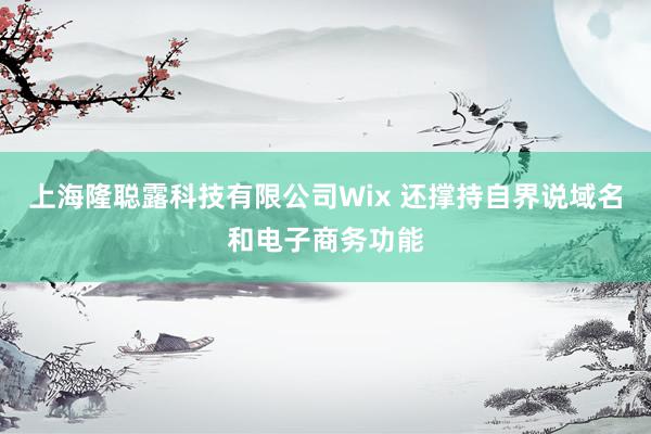 上海隆聪露科技有限公司Wix 还撑持自界说域名和电子商务功能